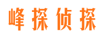 赫山商务调查